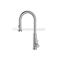 Single handle kitchen sink faucet pull down