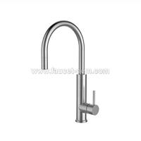 Kitchen faucet with pull down sprayer