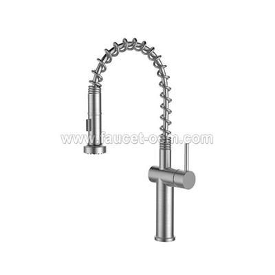 Spring grohe essence kitchen faucet